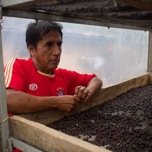 Peru Sanchez - بيرو سانشيز