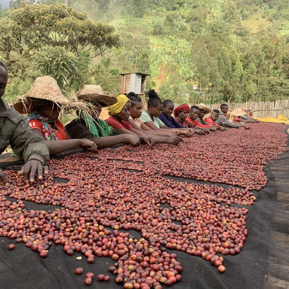 Ethiopia Chiri - إثيوبيا تشيري