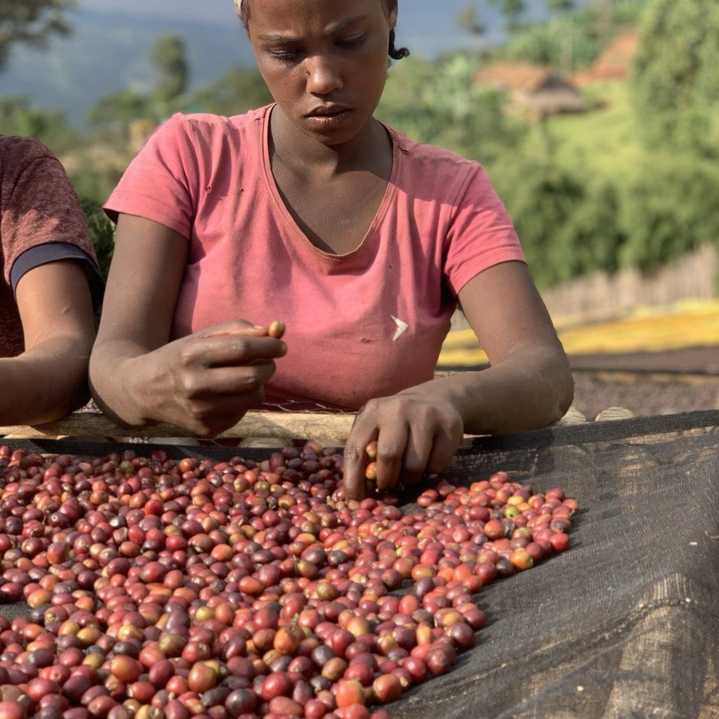 Ethiopia Chiri - إثيوبيا تشيري