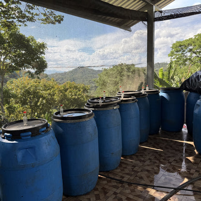 Nicaragua Papagayo Decaf  نيكاراغوا باباغايو - خالية من الكافيين